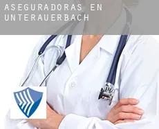 Aseguradoras en  Unterauerbach