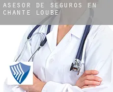 Asesor de seguros en  Chante Loube