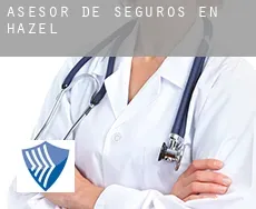 Asesor de seguros en Hazel