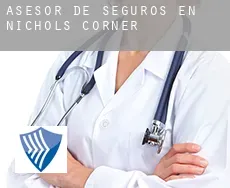 Asesor de seguros en  Nichols Corner