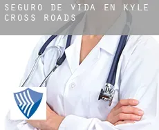 Seguro de vida en  Kyle Cross Roads