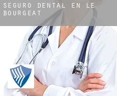 Seguro dental en  Le Bourgeat