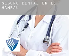 Seguro dental en  Le Hameau