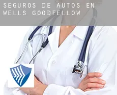 Seguros de autos en  Wells-Goodfellow