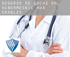 Seguros de coche en  Aubermesnil-aux-Érables