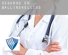 Seguros en  Ballinskelligs