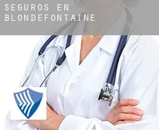 Seguros en  Blondefontaine