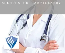 Seguros en  Carrickaboy