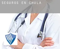 Seguros en  Chula