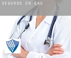 Seguros en  Exu