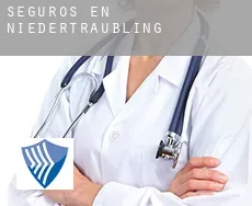 Seguros en  Niedertraubling