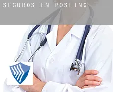 Seguros en  Pösling