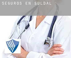 Seguros en  Suldal