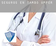 Seguros en Tambo Upper