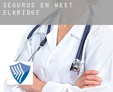 Seguros en  West Elkridge