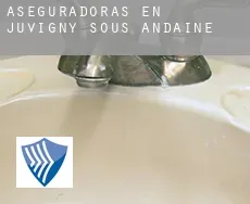 Aseguradoras en  Juvigny-sous-Andaine