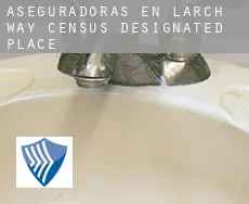 Aseguradoras en  Larch Way