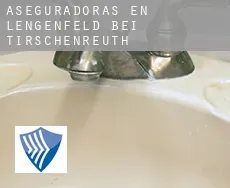 Aseguradoras en  Lengenfeld bei Tirschenreuth