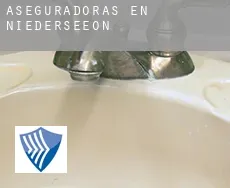 Aseguradoras en  Niederseeon