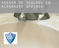 Asesor de seguros en Alexander Springs