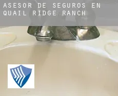 Asesor de seguros en  Quail Ridge Ranch