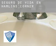 Seguro de vida en Hamlins Corner