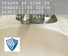 Seguro de vida en  Tanquecitos South Acres II