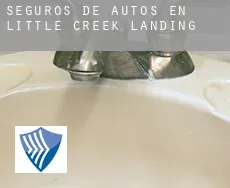 Seguros de autos en  Little Creek Landing