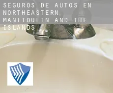 Seguros de autos en  Northeastern Manitoulin and the Islands
