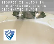 Seguros de autos en  Old Jamestown