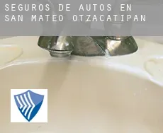 Seguros de autos en  San Mateo Otzacatipan