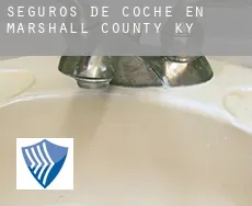 Seguros de coche en  Marshall County