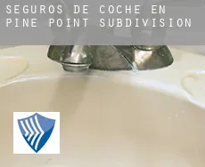 Seguros de coche en Pine Point Subdivision