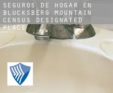 Seguros de hogar en  Blucksberg Mountain