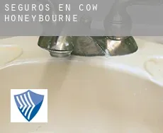 Seguros en  Cow Honeybourne