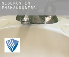 Seguros en  Ensmannsberg