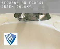 Seguros en  Forest Creek Colony