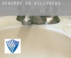 Seguros en  Killybegs