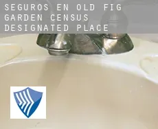 Seguros en  Old Fig Garden