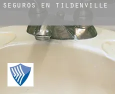Seguros en  Tildenville