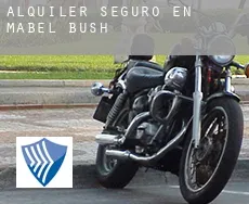 Alquiler seguro en  Mabel Bush