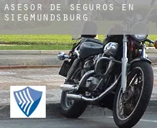 Asesor de seguros en  Siegmundsburg