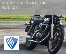 Seguro dental en  Hester