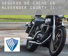 Seguros de coche en  Alexander County