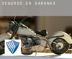 Seguros en Garanas