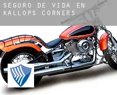 Seguro de vida en  Kallops Corners