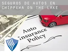 Seguros de autos en  Chippewa-on-the-Lake