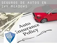 Seguros de autos en  Ivy Meadows