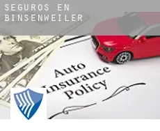 Seguros en  Binsenweiler