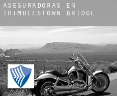 Aseguradoras en  Trimblestown Bridge
